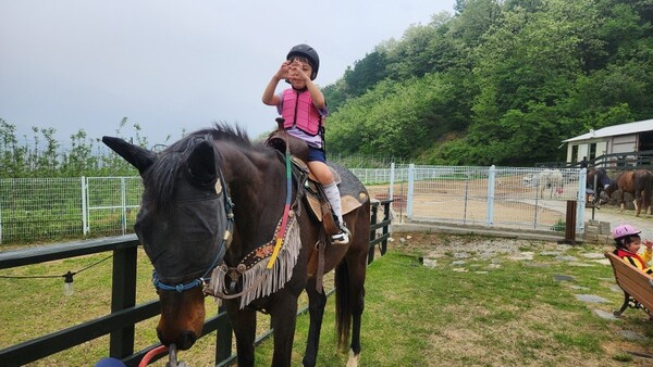 [사진=풍기초등학교병설유치원 제공]