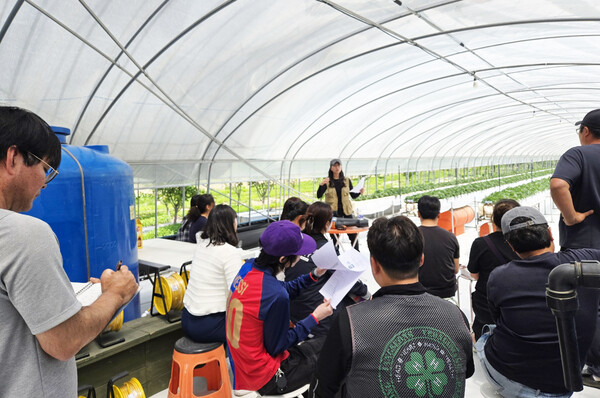 담양군 청년농업인, 자발적 순회 학습으로 실전 역량 키워…시설하우스 농장 돌며 현장 중심 학습 (사진=담양군)