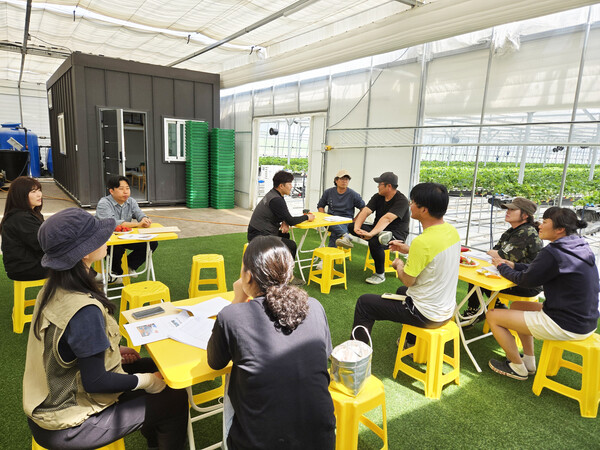 담양군 청년농업인, 자발적 순회 학습으로 실전 역량 키워…시설하우스 농장 돌며 현장 중심 학습 (사진=담양군)