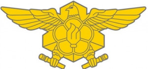 소방청, ‘금화군 스페셜로고’ 포털 첫 화면에 게시