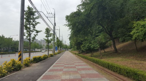 원주 학성행정복지센터, ‘학성공원을 편안하게’