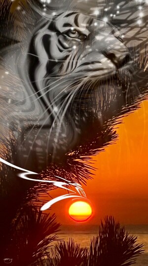 [전기순의 '설렘 아쉬람'] 솔잎에겐 새해가 없다