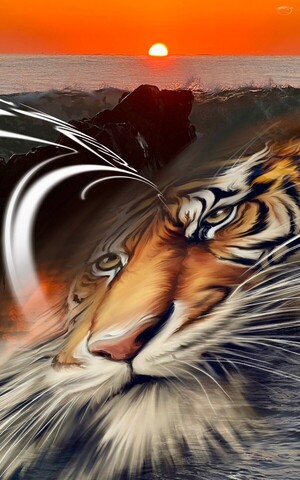 [전기순의 '설렘 아쉬람'] 일출 요기