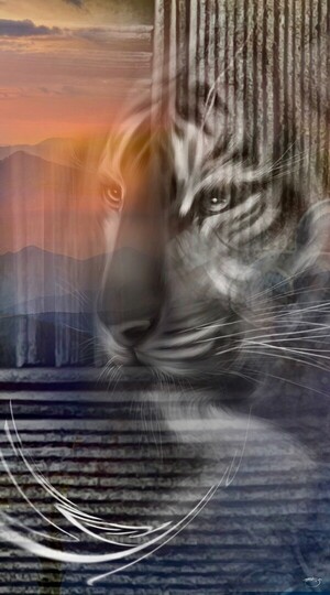 [전기순의 '설렘 아쉬람'] 세월 주름