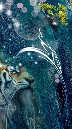 [전기순의 '설렘 아쉬람'] 절벽 위의 삶