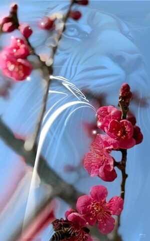 [전기순의 '설렘 아쉬람'] 수행자의 향연