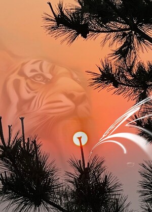 [전기순의 ‘설렘 아쉬람’] 솔잎연가