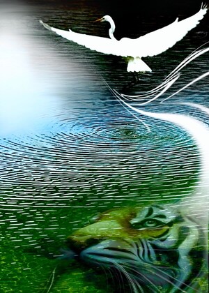 [전기순의 ‘설렘 아쉬람’] 학, 하늘이 된다